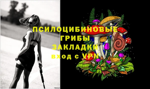 стаф Абаза