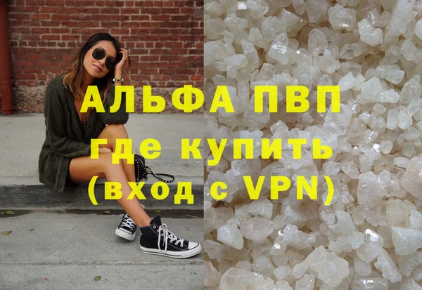 стаф Абаза