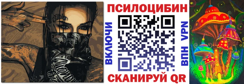 Галлюциногенные грибы Psilocybe  Шилка 