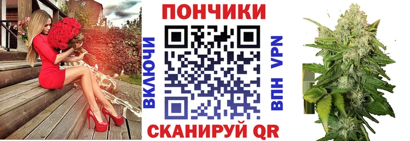 Марихуана гибрид Шилка