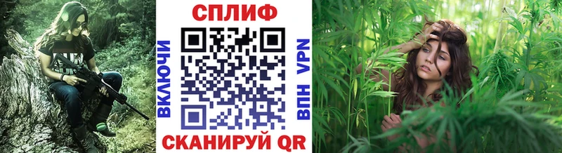 Конопля марихуана  Шилка 